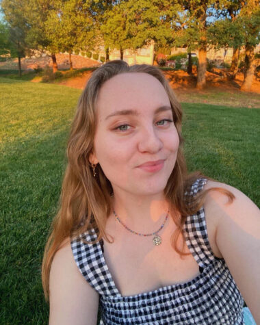 Author smiling outside by grass, long brown hair, checkered dress