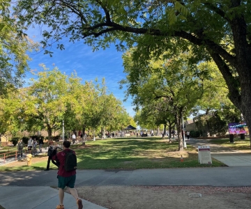 Rocklin campus quad with green grass and trees, person walking in foreground