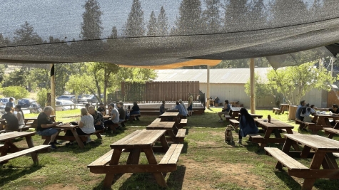 several wooden picnic tables lined up under a shade canopy