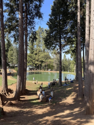 tall trees surround a circular pond with people gathered around
