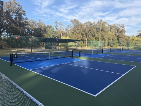 new pickleball courts are shown with fresh paint and new nets