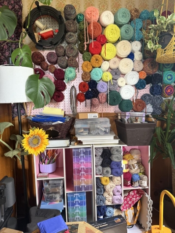 wall lined with different colors of yarn, plants and crafting bins and books on shelf 